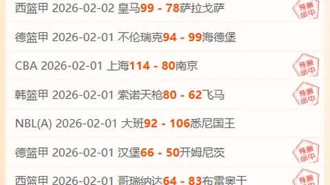 35岁球星马蒂奇转会里昂，转会金300万欧元达成